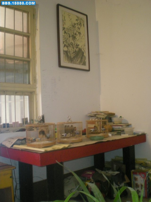DSCN1260.jpg