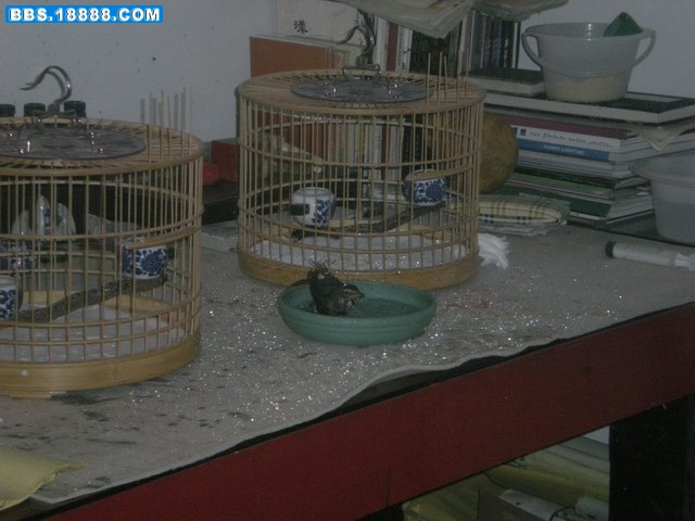 DSCN1246.jpg