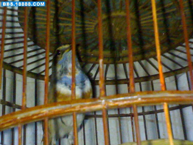 20081016447.jpg