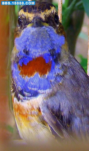 DSCF3561.JPG