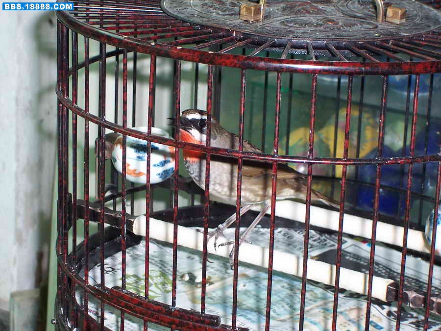 100_0608-.jpg