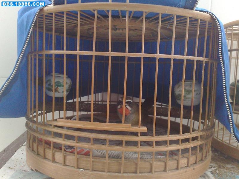 200810041756.jpg
