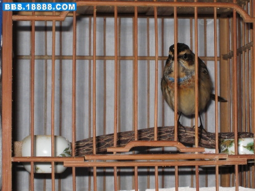 IMG_0467_调整大小.JPG
