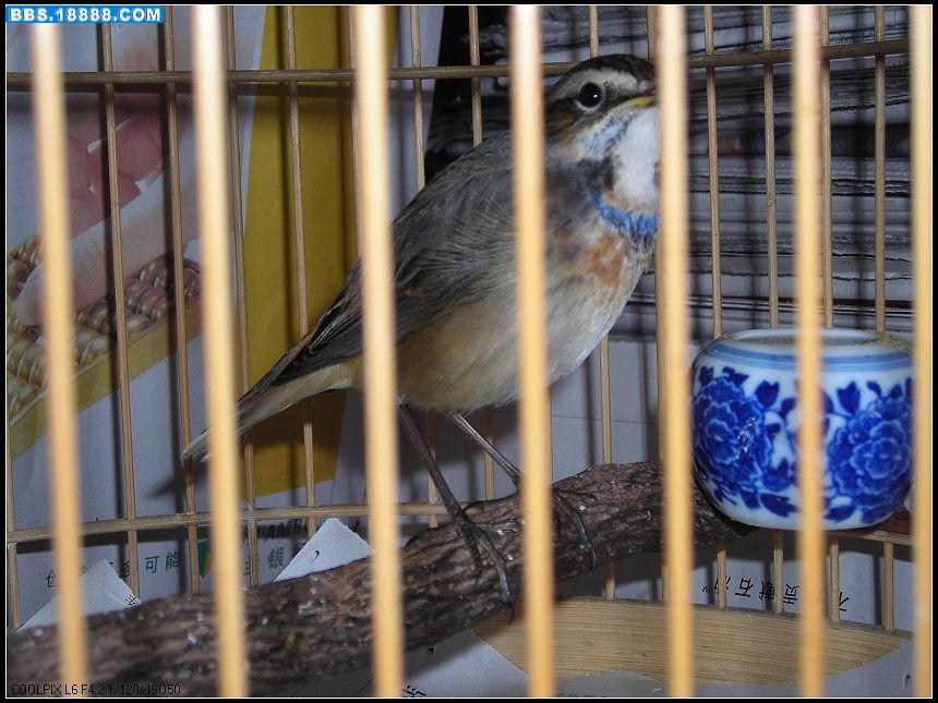 DSCN3582.jpg