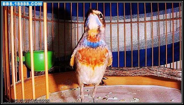 nEO_IMG_nEO_IMG_S73F1839.jpg