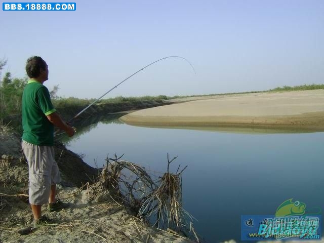06.jpg