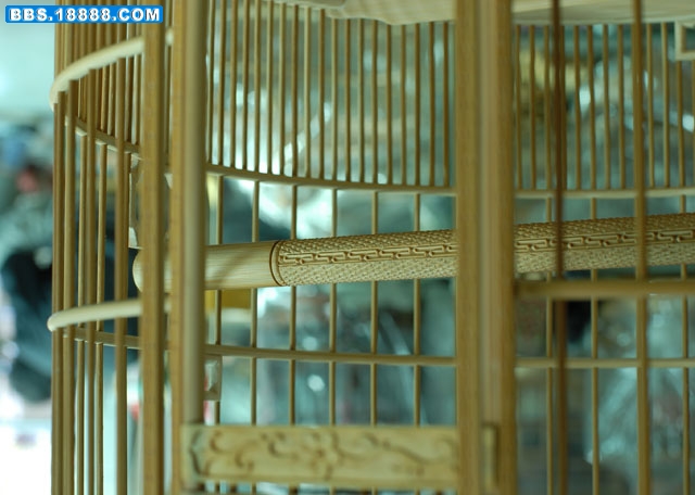 照片 070.jpg