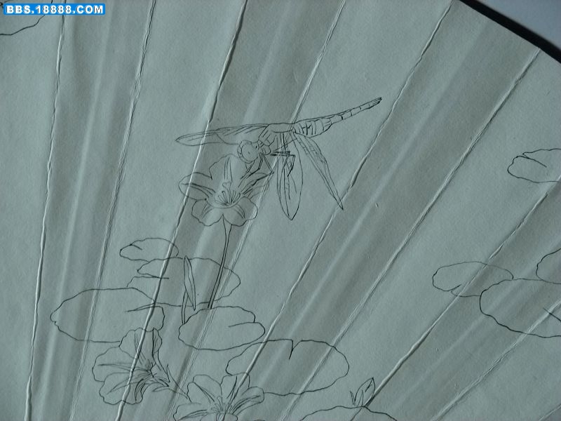 b9睡莲.jpg