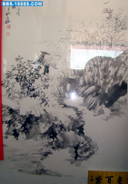DSC05142.jpg
