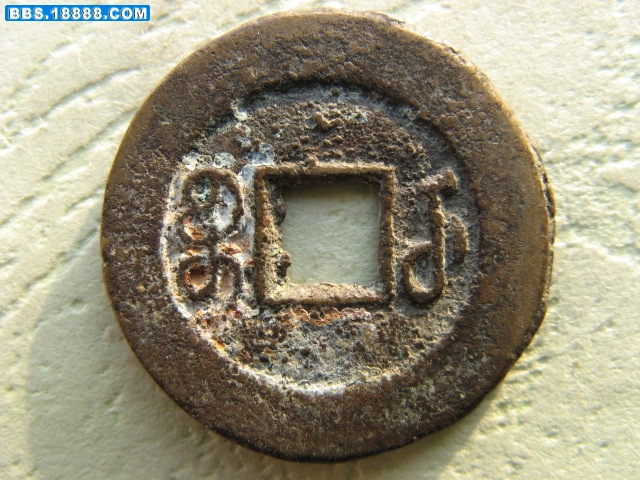 野外 484.jpg