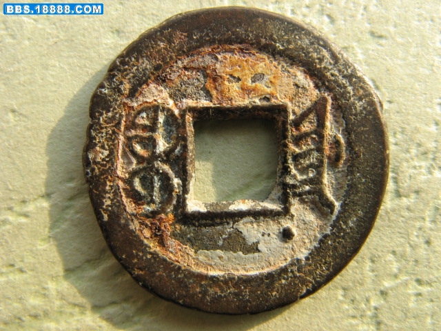 野外 446.jpg
