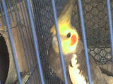 DSC00232.JPG