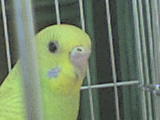 DSC00189.JPG