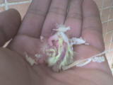 DSC00002.JPG