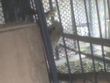 DSC00126.JPG