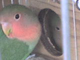 DSC00228.JPG
