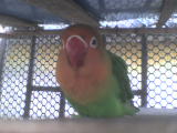 DSC00225.JPG