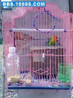 IMG1012A.jpg