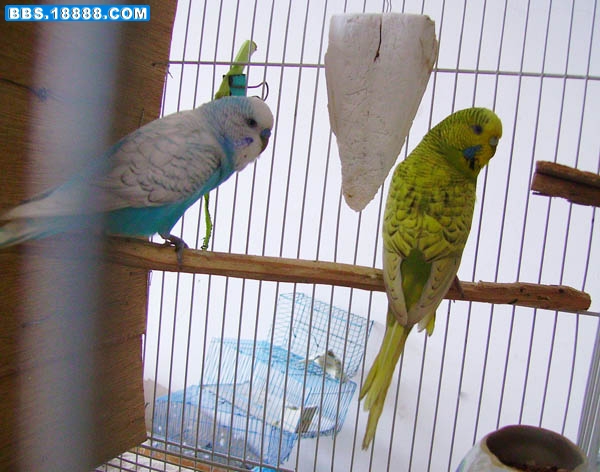 PICT0072.jpg