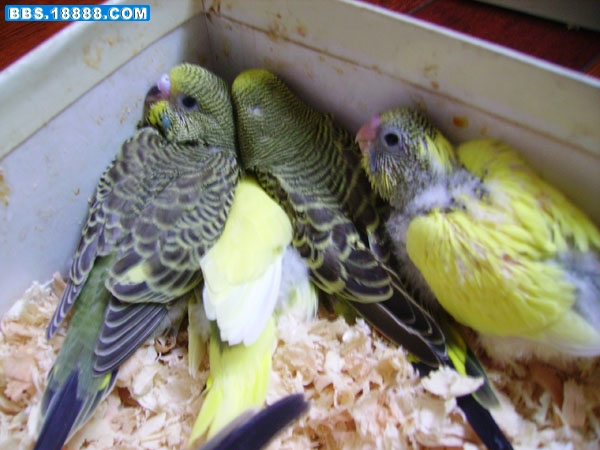 PICT0030.jpg