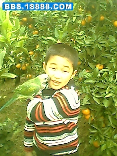 IMG0490A.jpg