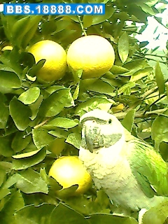 IMG0479A.jpg