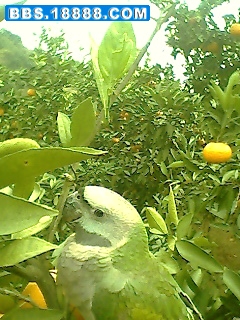IMG0487A.jpg
