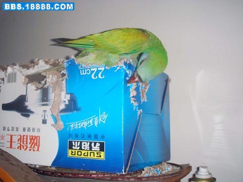 6.JPG
