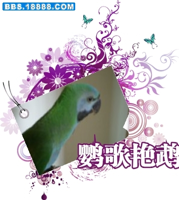 3b7de1588754fd8e810a189e.jpg
