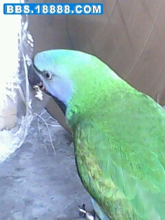 IMG0019A.jpg