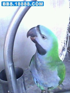 IMG0021A.jpg
