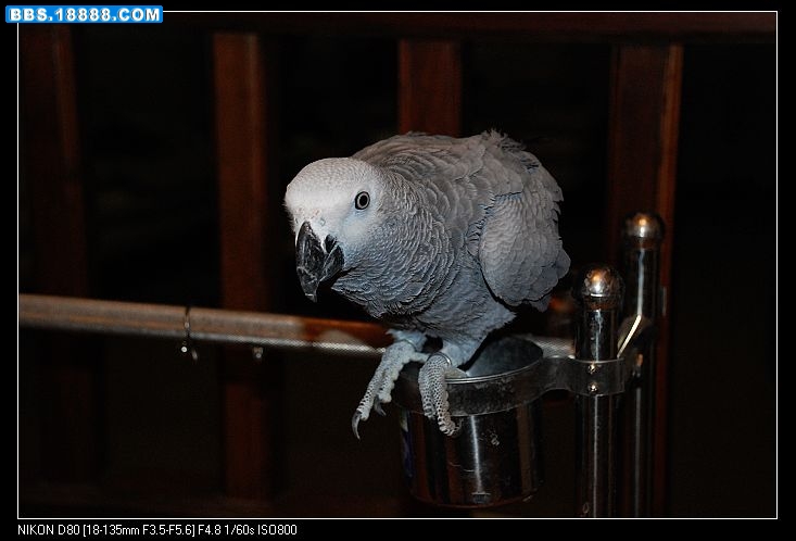 nEO_IMG_DSC_0394.jpg