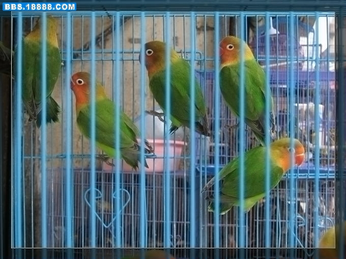 IMG_0300_nEO_IMG.jpg
