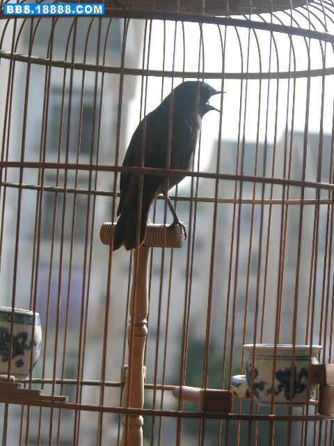 DSCN9827.JPG