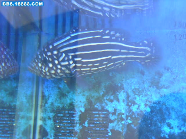 DSCN9843.JPG