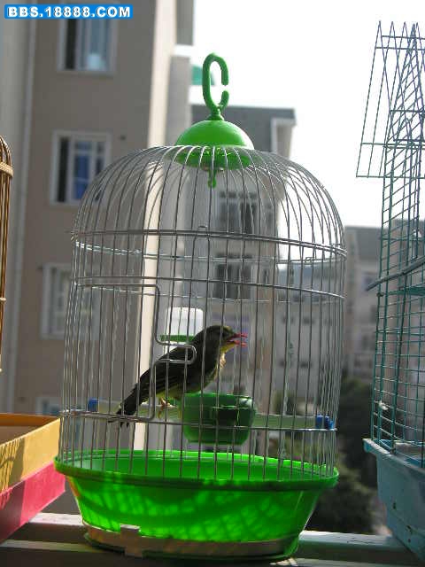 DSCN9823.JPG