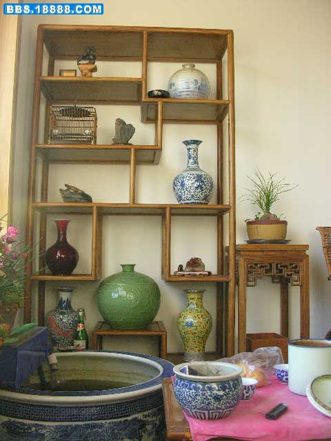 DSCN8513.JPG