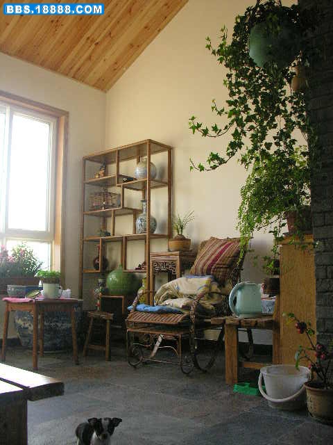 DSCN8510.JPG