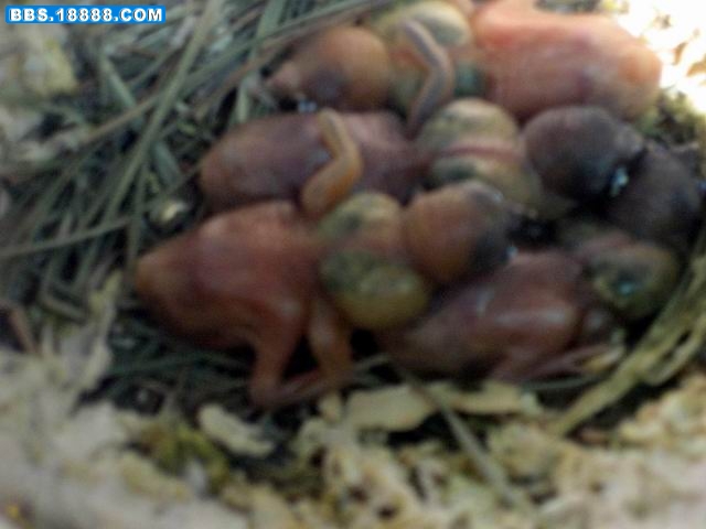照片 078.jpg