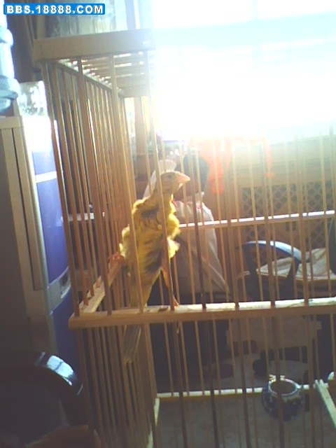 IMG0023A.jpg