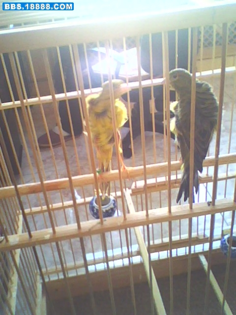 IMG0024A.jpg