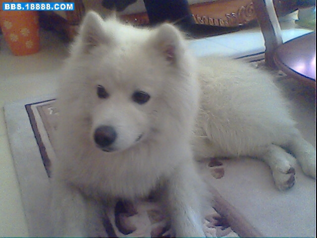 IMG0169A.jpg
