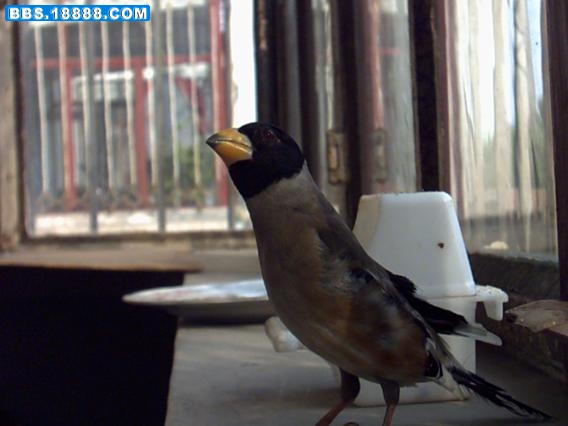 PICT0171.JPG
