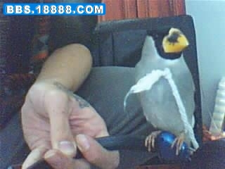21_70206_117e355be80bdef.jpg