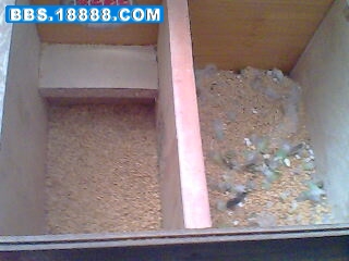 IMG0003A.jpg