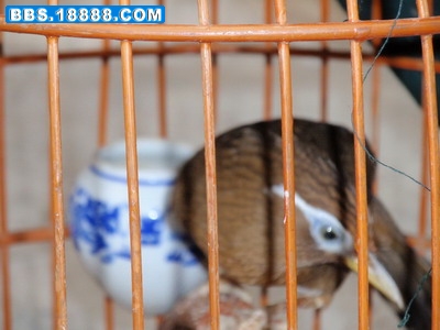 PA280043_调整大小_调整大小.JPG