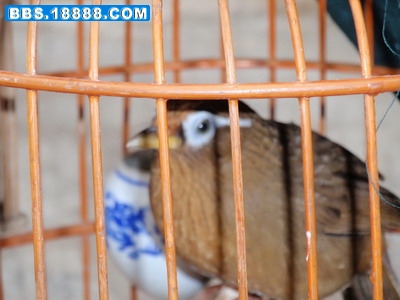 PA280039_调整大小_调整大小.JPG