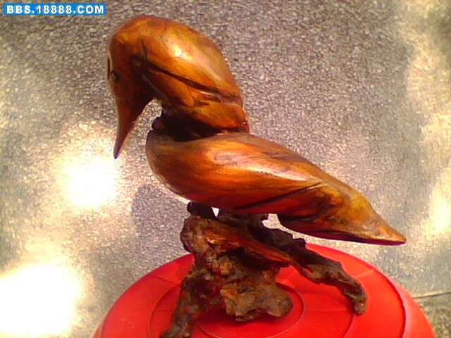 IMG0155A.jpg