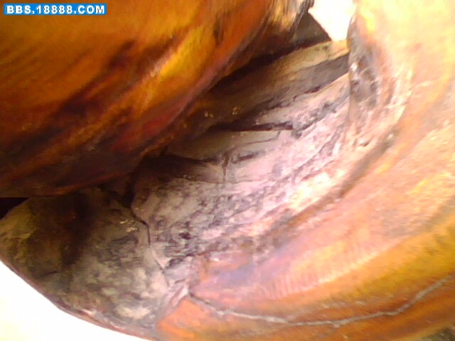IMG0164A.jpg