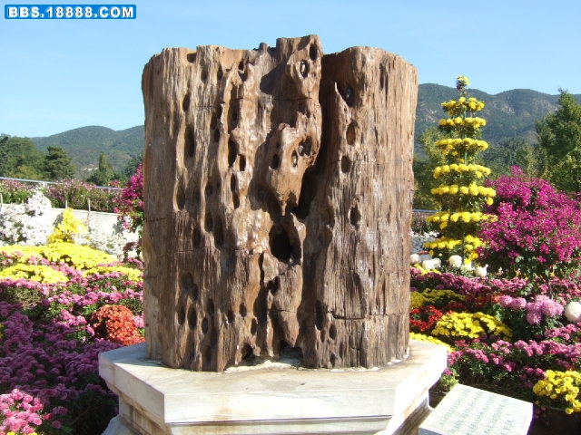 DSCF3307.JPG